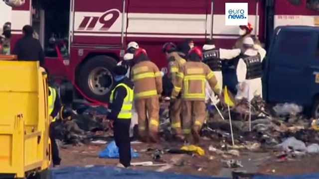 Corea del Sud, si cerca causa dell'incidente aereo: tra le ipotesi impatto con stormo di uccelli