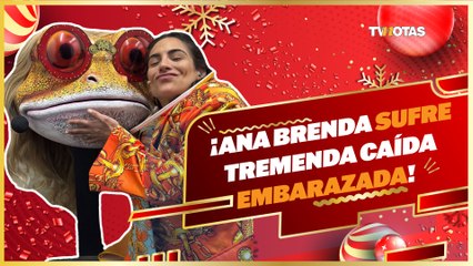 Ana Brenda Contreras, ¿enciende las alarmas?