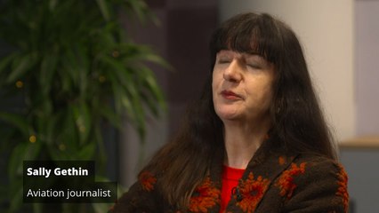 Bird strike suggested as cause of Korean plane crash