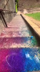 Weird and Funny Moments You Won’t Believe Happened!