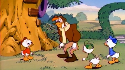Ducktales (1987) - S01 E24 - Top Duck