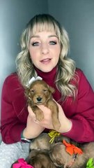 🐾 Discover the Purrfect World of Cats! 🐱 In this whisker-tingling video,