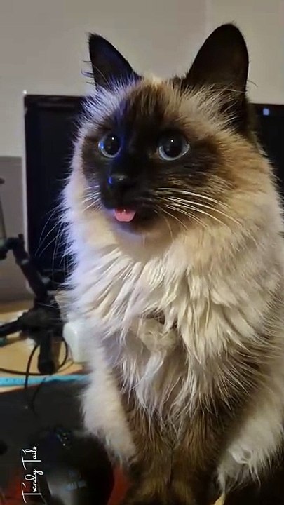 Tongue out!