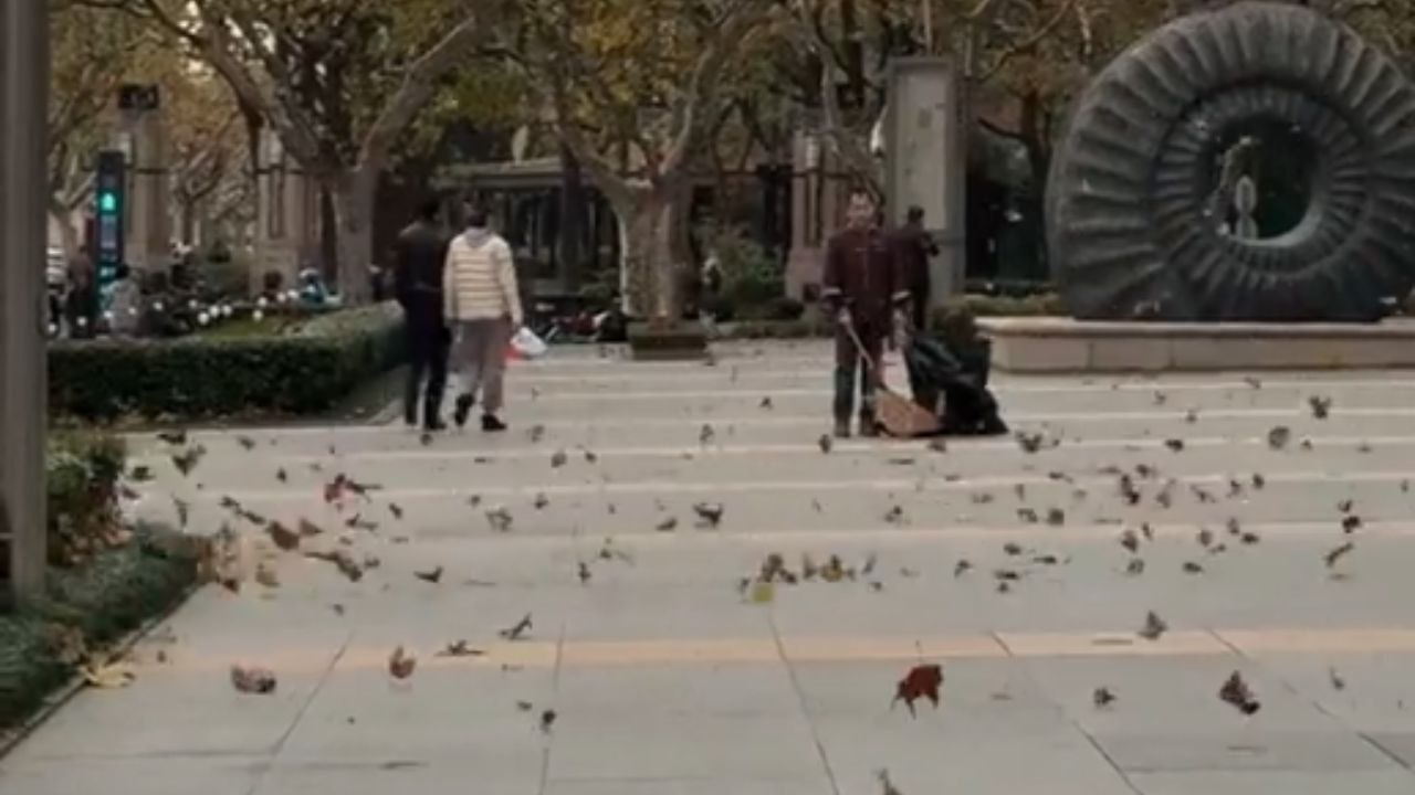 Sanitation worker stands still as strong wind gusts blow leaves around him