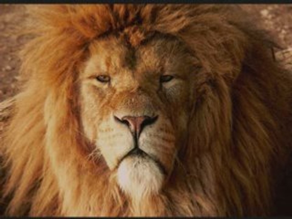 Funk by Parraindufunk@hotmail.fr 69150