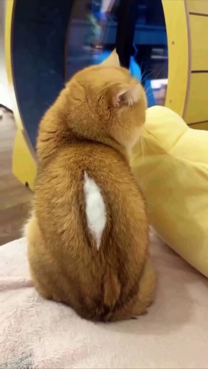 Wow