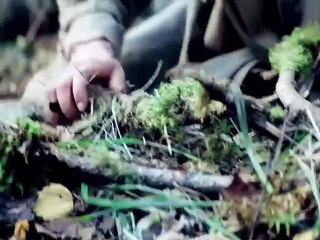 Movies best watching