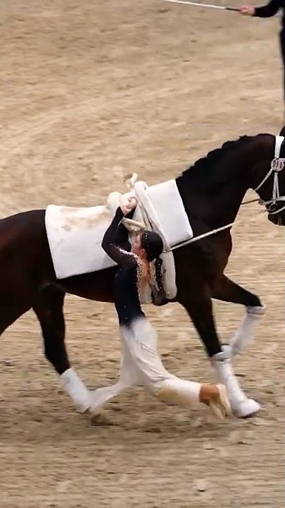 ,,,,,,,Different tracks on horse,,,,,,,