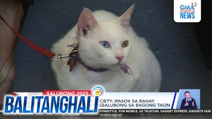 Panawagan ng Animal Rights group - Itigil na ang pagpapaputok na may masamang epekto sa kalikasan at mga hayop | Balitanghali