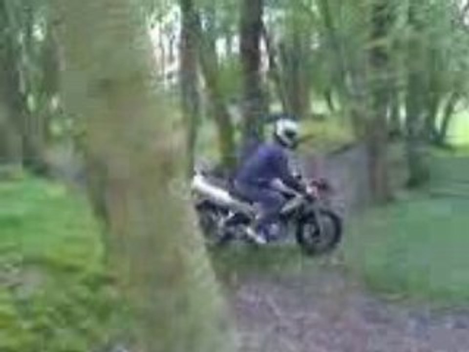 moi ac ma x power dans la foret