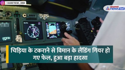 South Korea Plane Crash Update: कैसे छोटी सी चिड़िया गिरा देती है भारी-भरकम प्लेन?