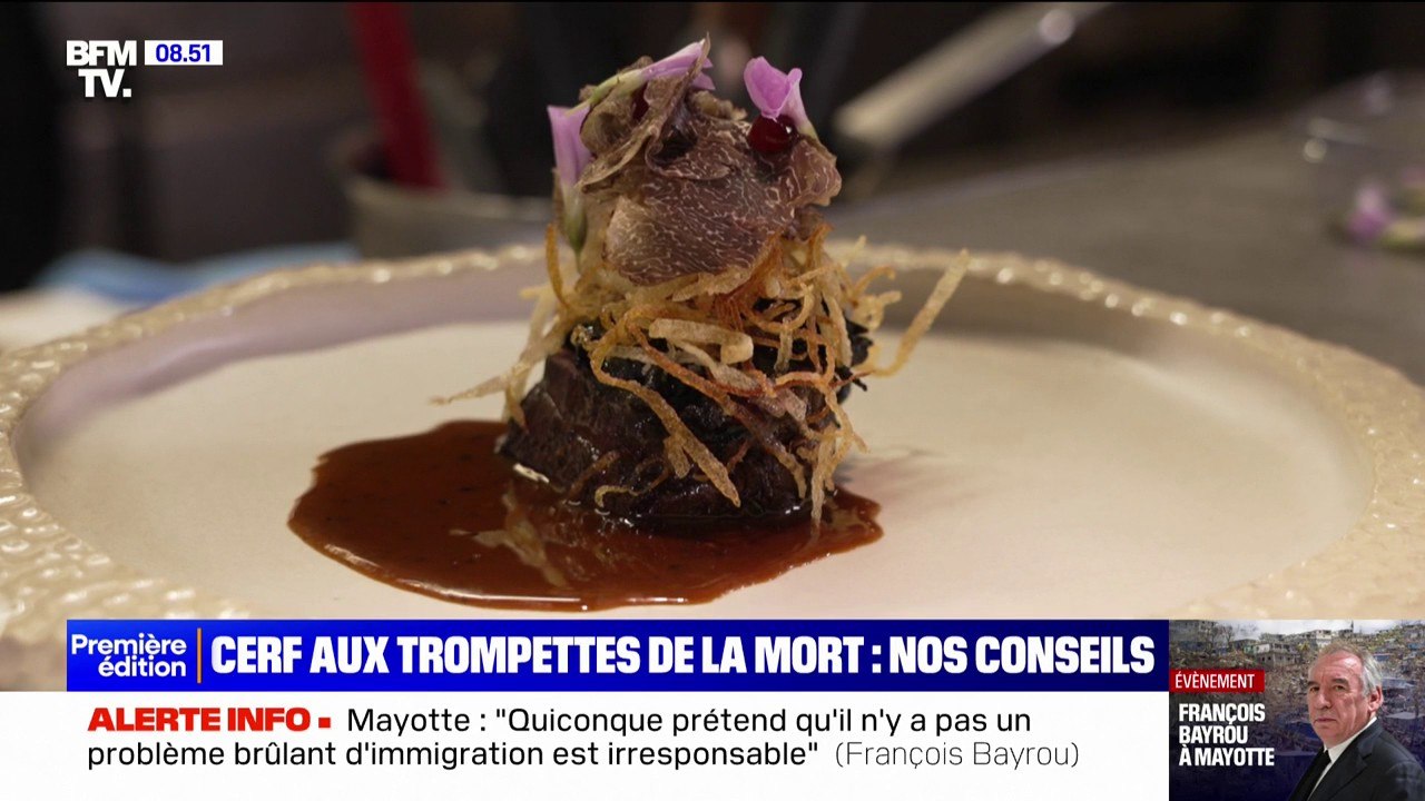 Repas de fêtes: nos conseils pour réussir du cerf aux trompettes de la mort