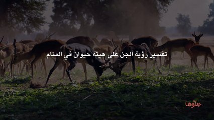 تفسير رؤية الجن على هيئة حيوان في المنام