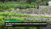 [#Reportage] Gabon : un tiers des migrants soumis à des horaires de travail excessifs