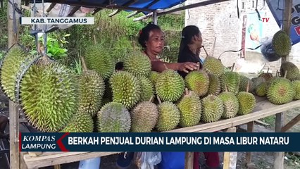 Berkah Penjual Durian Lampung di Masa Libur Nataru