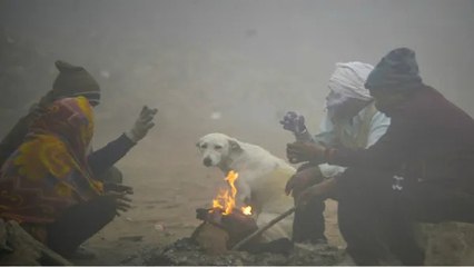 बारिश के बाद सर्द हवाओं ने पकड़ी रफ्तार,ठंड बरपाएगी कहर