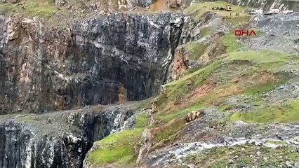 İstanbul- Sultangazi'de 20 gündür kayıp olarak aranıyordu; cansız bedeni bulundu -1