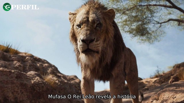 Os segredos por trás de Scar, Round 6 e Sonic: Revelações surpreendentes da indústria do entretenimento.