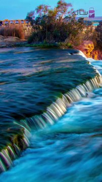 مركز جامعة المنصورة للحفريات الفقارية يدخل موسوعة غينيس للأرقام القياسية