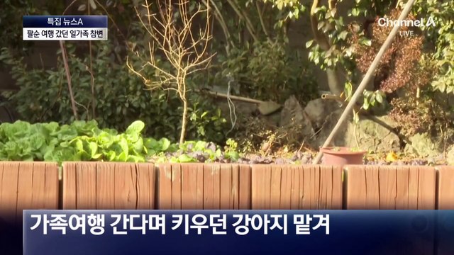 팔순 여행 떠났던 일가족 9명 참변