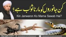 Kin Janwaron Ko Marna Sawab Hai? | Solve Your Problems | Ask Mufti Tariq Masood