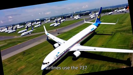 Boeing 737-800, a Precursor to the 737 Max, Is Used Widely.