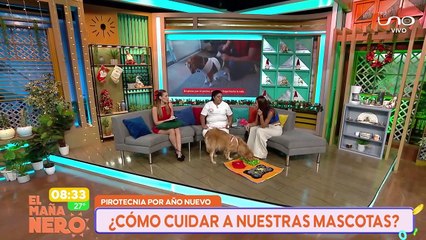 cuidado de las mascotas