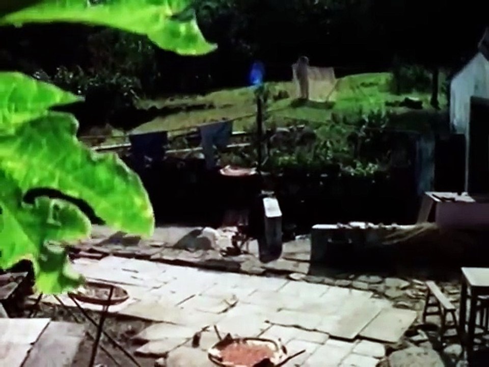 Thunder Kick (1973)