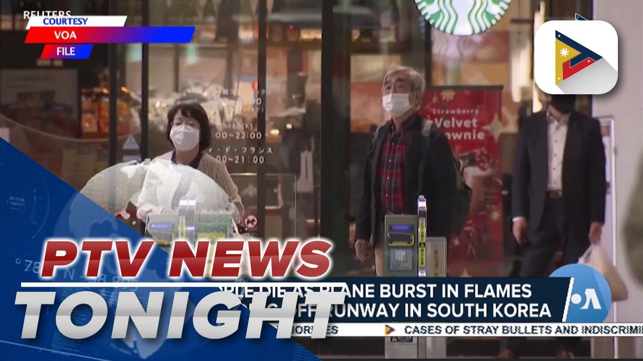 179 people die as plane bursts in flames after skidding off runway in South Korea