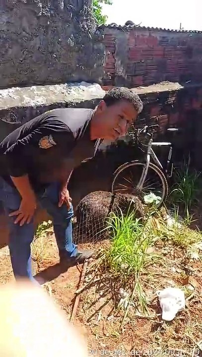 IAT de Umuarama resgata capivara encontrada em quintal de residência no Jardim Arco-Íris