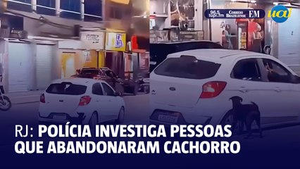 Polícia investiga pessoas que abandonaram cachorro em praça na Baixada