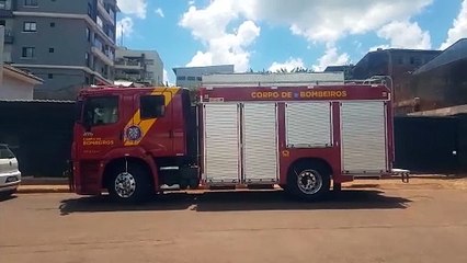 Corpo de Bombeiros captura gambá na Vila Tolentino