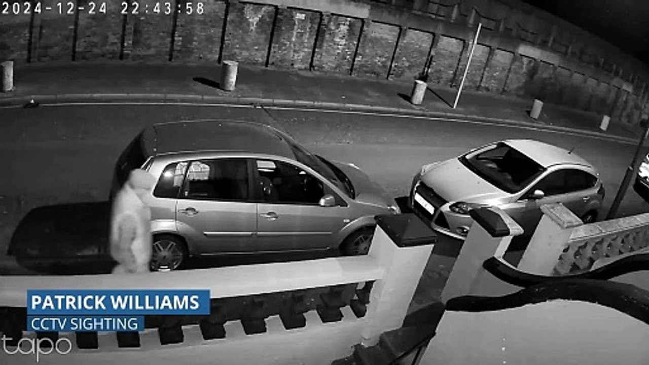 Patrick Williams has been missing since Christmas Day