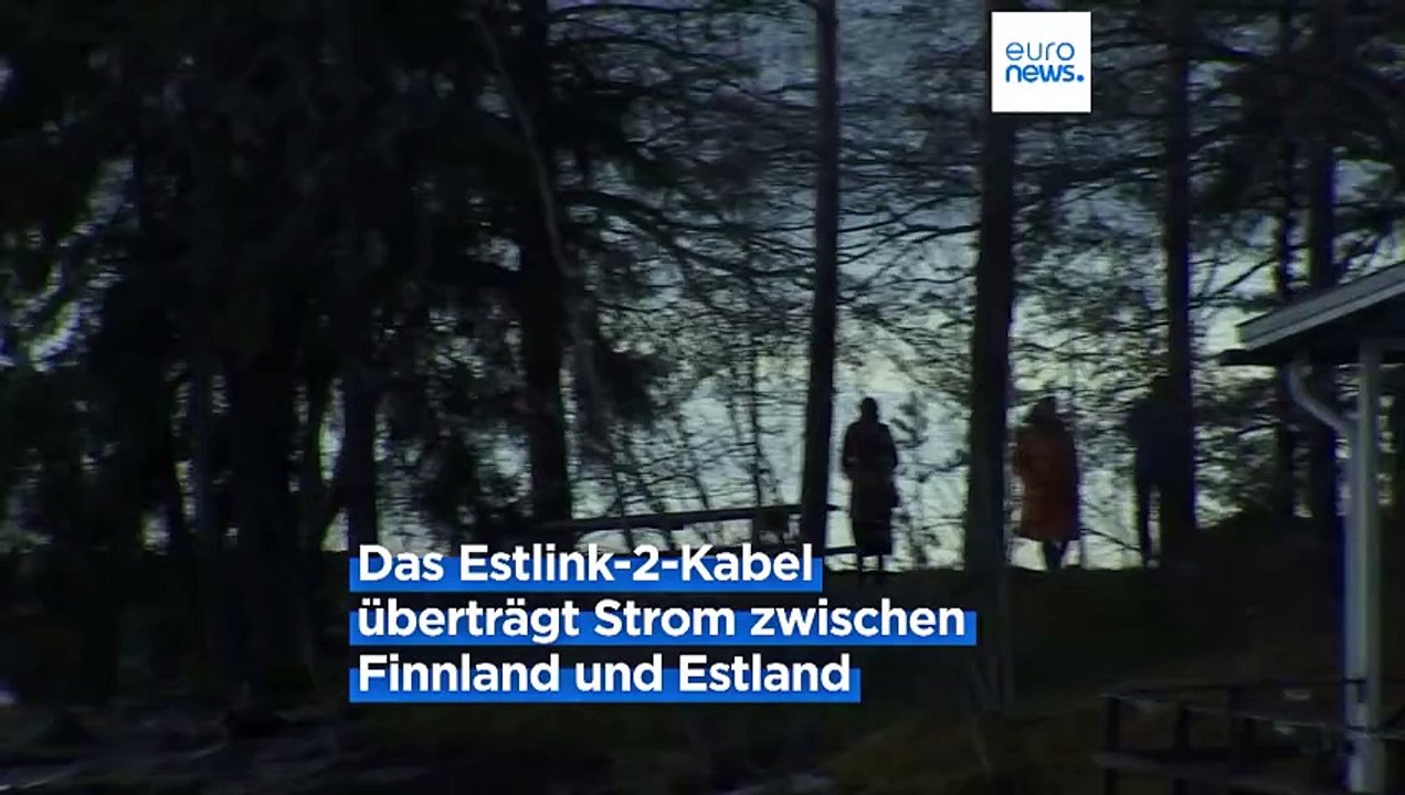 Untersuchung zu Angriffen auf Ostseekabel: Russisches Schiff beteiligt