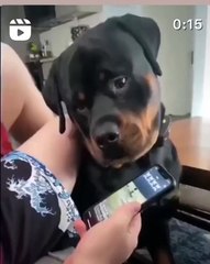 **Title: "10 Surprising Facts About Cats You Never Knew!"**🐾 Welcome to