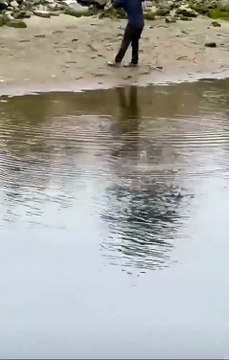 Perfect people have perfect skills