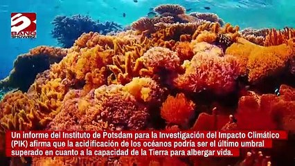 Los océanos de la Tierra son casi demasiado ácidos para sustentar la vida