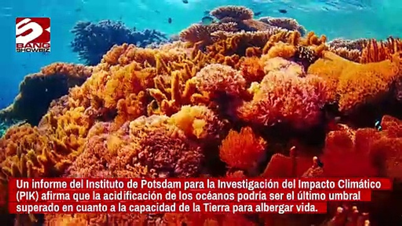 Los océanos de la Tierra son casi demasiado áci...