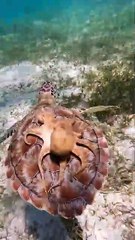 Sometimes you just need a friend