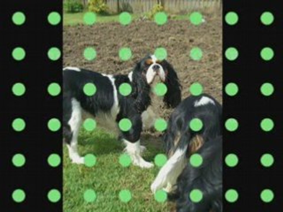 Nos cavaliers_0002