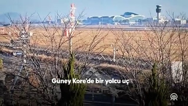 Güney Kore'de 179 kişinin öldüğü uçak kazasından yeni detaylar