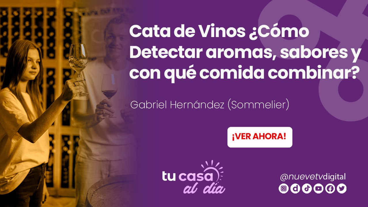 Cata de Vinos ¿Cómo Detectar aromas, sabores y con qué comida combinar?