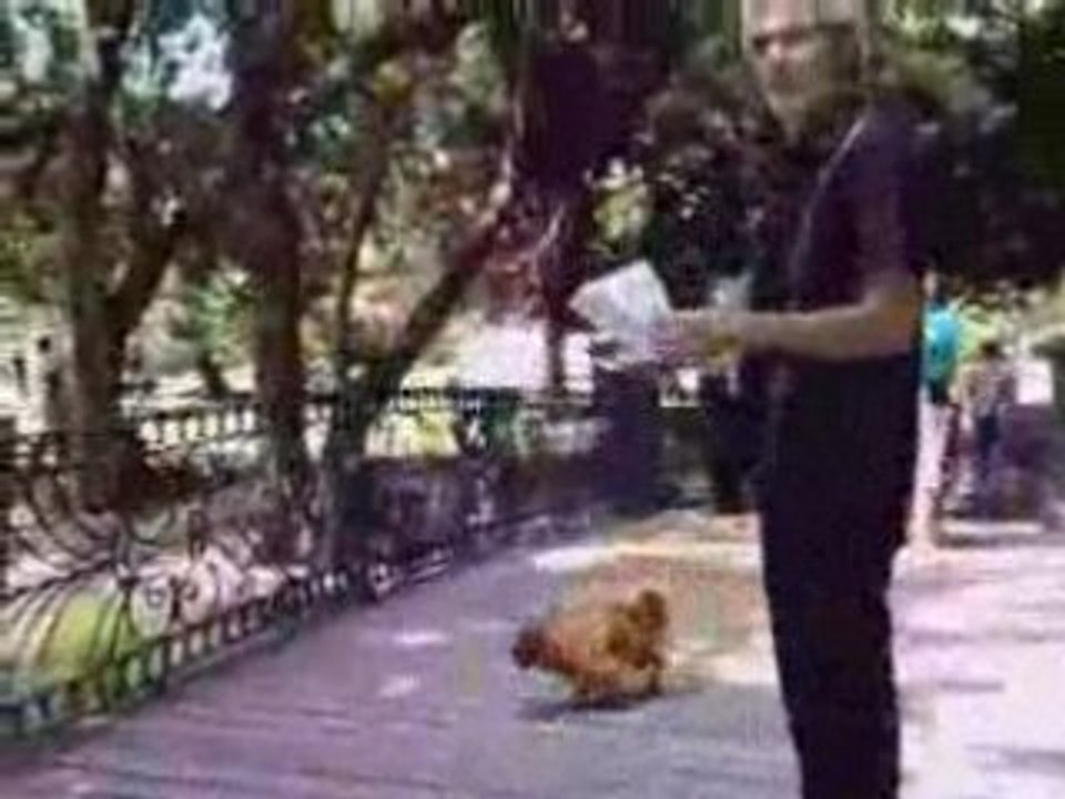 ARGENTINA  EXPORTA VIDEOS