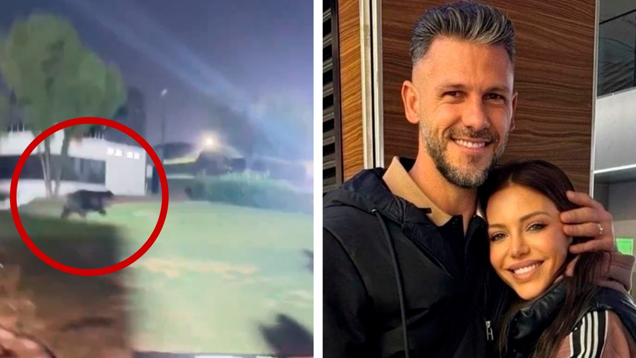 Monterrey: Un oso sorprende a la familia de Martín Demichelis en plena convivencia