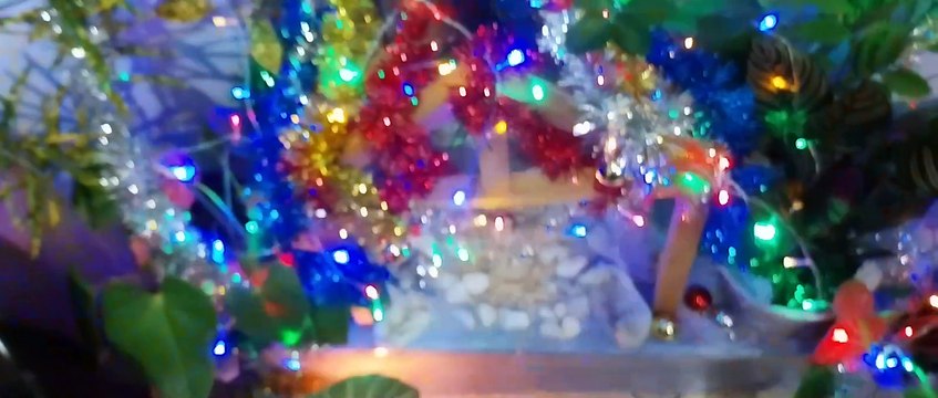 (PARTE 1) VISITANDO A CASA DE JOSÉ DELFINO - FOLIA DE REIS LUZ DIVINA ARTUR NOGUEIRA 28/12/24