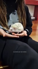 Carolina Patrocínio