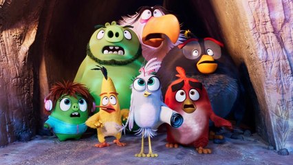 Angry Birds : copains comme cochons