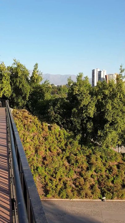 Views from a Park in Santiago 🇨🇱