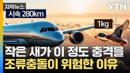 [자막뉴스] 충격이 고스란히...버드 스트라이크의 심각성 / YTN