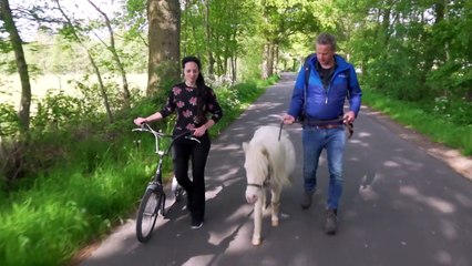 Dwars door de Lage Landen | show | 2022 | Official Trailer